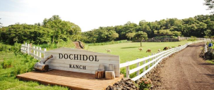 도치돌 알파카목장