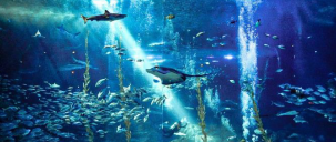 아쿠아플라넷 제주