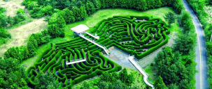 제주김녕미로공원 뿌리공원